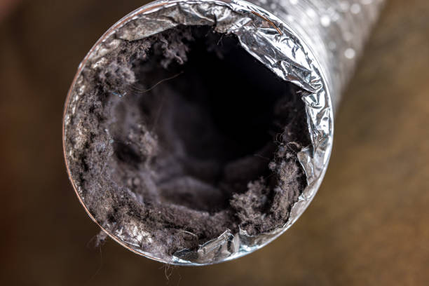 Best HVAC System Cleaning  in Shamokin Dam, PA